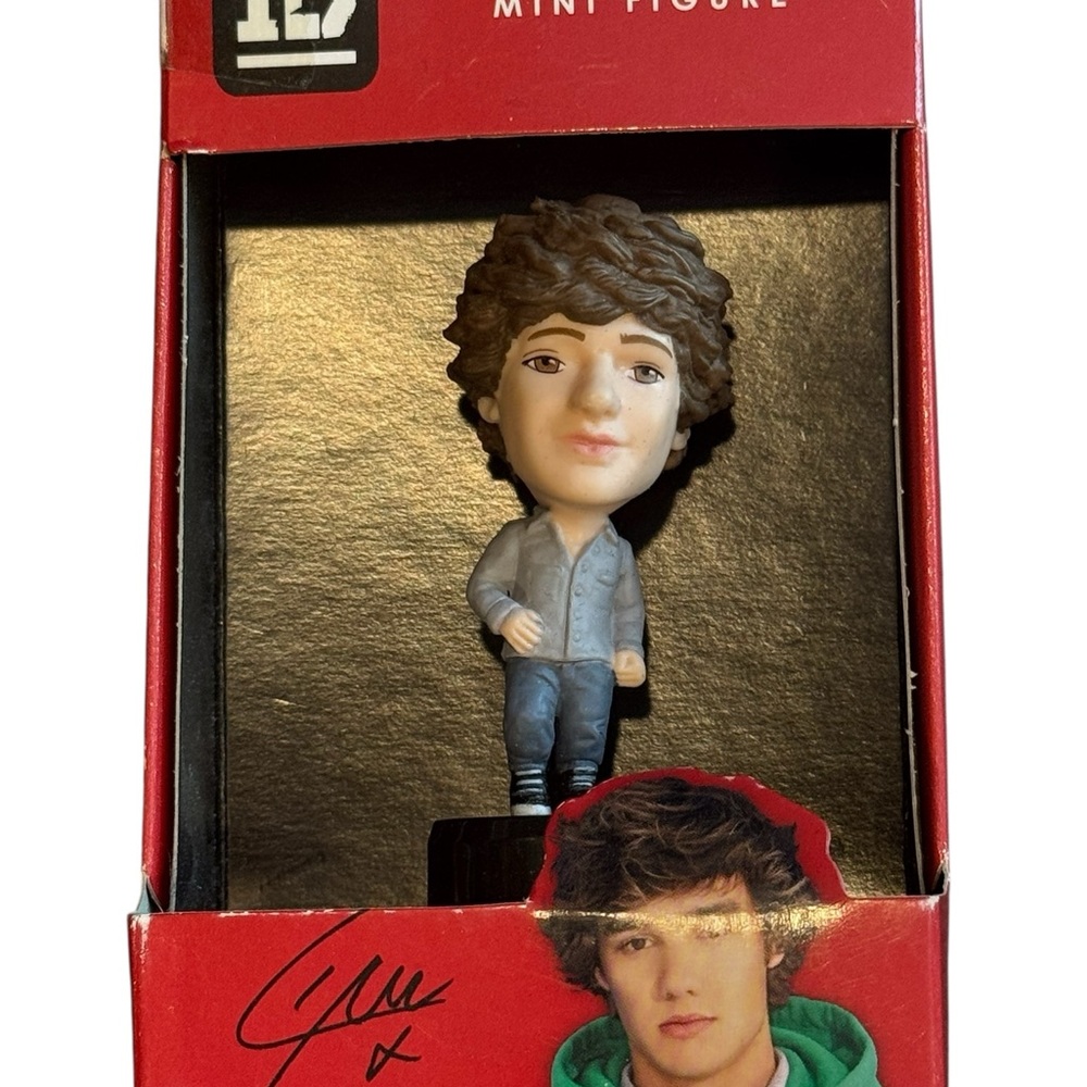 Liam Payne Mini Figure 1D One Direction